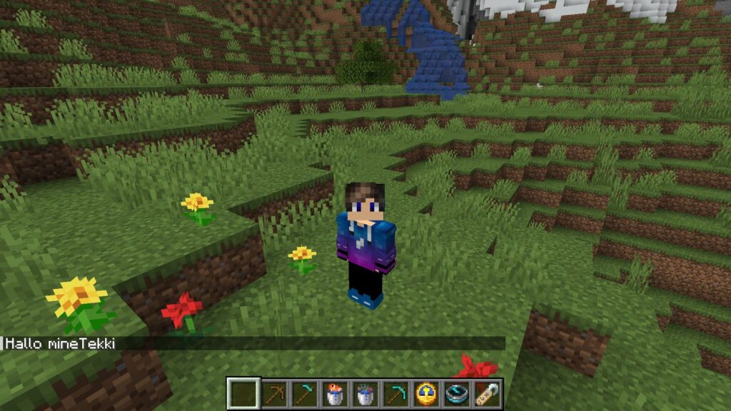 Minecraft-Plugin Command ausführen