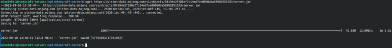 Minecraft Server Download mit wget